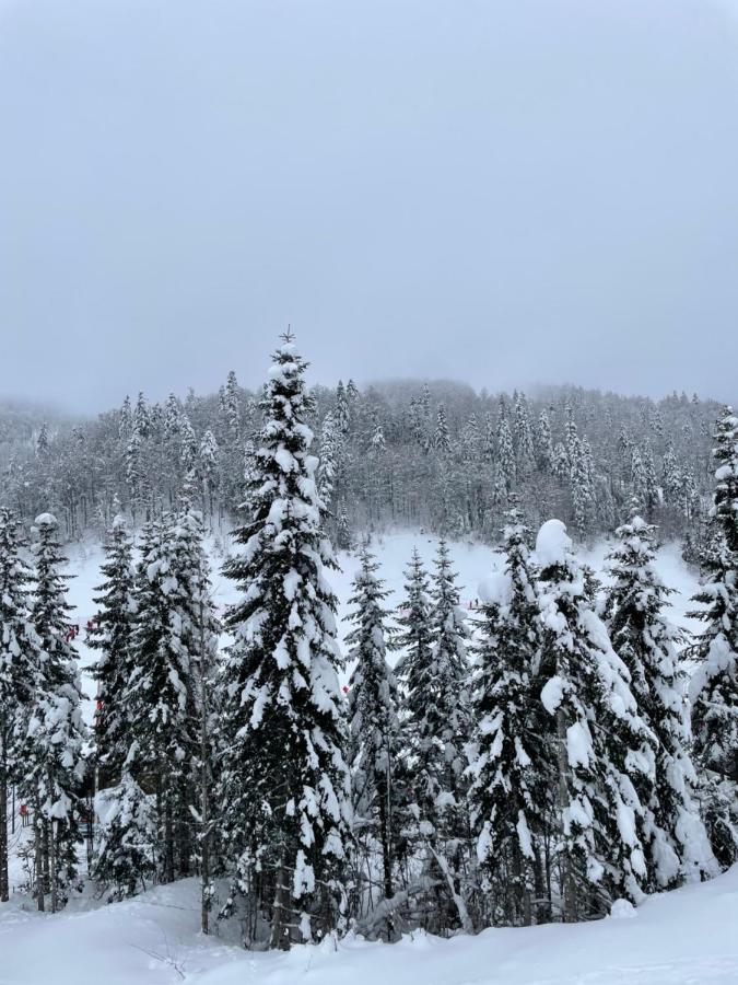 Wild Beauty Apartment-Modern Mountain 2 Колашин Экстерьер фото